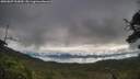 ./images/calvert/fitz-hugh-hecate/20250807/fitz-hugh-hecate20250807_092010M.jpg