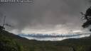 ./images/calvert/fitz-hugh-hecate/20250807/fitz-hugh-hecate20250807_093510M.jpg