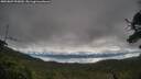 ./images/calvert/fitz-hugh-hecate/20250807/fitz-hugh-hecate20250807_095010M.jpg
