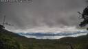 ./images/calvert/fitz-hugh-hecate/20250807/fitz-hugh-hecate20250807_100510M.jpg