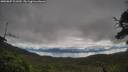 ./images/calvert/fitz-hugh-hecate/20250807/fitz-hugh-hecate20250807_101010M.jpg