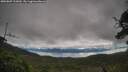 ./images/calvert/fitz-hugh-hecate/20250807/fitz-hugh-hecate20250807_102009M.jpg