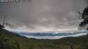 ./images/calvert/fitz-hugh-hecate/20250807/fitz-hugh-hecate20250807_103507M.jpg