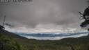 ./images/calvert/fitz-hugh-hecate/20250807/fitz-hugh-hecate20250807_104007M.jpg