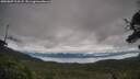 ./images/calvert/fitz-hugh-hecate/20250807/fitz-hugh-hecate20250807_104508M.jpg