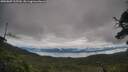 ./images/calvert/fitz-hugh-hecate/20250807/fitz-hugh-hecate20250807_105510M.jpg