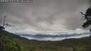 ./images/calvert/fitz-hugh-hecate/20250807/fitz-hugh-hecate20250807_113509M.jpg