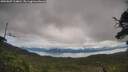./images/calvert/fitz-hugh-hecate/20250807/fitz-hugh-hecate20250807_114010M.jpg