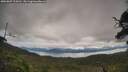 ./images/calvert/fitz-hugh-hecate/20250807/fitz-hugh-hecate20250807_114510M.jpg