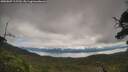 ./images/calvert/fitz-hugh-hecate/20250807/fitz-hugh-hecate20250807_115510M.jpg