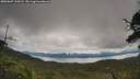 ./images/calvert/fitz-hugh-hecate/20250807/fitz-hugh-hecate20250807_120508M.jpg
