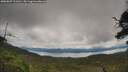 ./images/calvert/fitz-hugh-hecate/20250807/fitz-hugh-hecate20250807_121010M.jpg