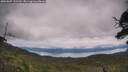 ./images/calvert/fitz-hugh-hecate/20250807/fitz-hugh-hecate20250807_122510M.jpg