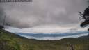 ./images/calvert/fitz-hugh-hecate/20250807/fitz-hugh-hecate20250807_123508M.jpg