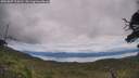 ./images/calvert/fitz-hugh-hecate/20250807/fitz-hugh-hecate20250807_124510M.jpg