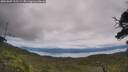 ./images/calvert/fitz-hugh-hecate/20250807/fitz-hugh-hecate20250807_125509M.jpg