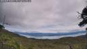 ./images/calvert/fitz-hugh-hecate/20250807/fitz-hugh-hecate20250807_130010M.jpg