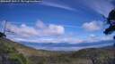 ./images/calvert/fitz-hugh-hecate/20250807/fitz-hugh-hecate20250807_150507M.jpg