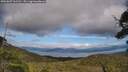 ./images/calvert/fitz-hugh-hecate/20250807/fitz-hugh-hecate20250807_161511M.jpg