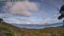 ./images/calvert/fitz-hugh-hecate/20250807/fitz-hugh-hecate20250807_164010M.jpg