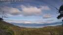 ./images/calvert/fitz-hugh-hecate/20250807/fitz-hugh-hecate20250807_164510M.jpg