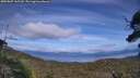 ./images/calvert/fitz-hugh-hecate/20250807/fitz-hugh-hecate20250807_165510M.jpg