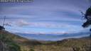 ./images/calvert/fitz-hugh-hecate/20250807/fitz-hugh-hecate20250807_170509M.jpg