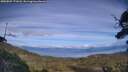 ./images/calvert/fitz-hugh-hecate/20250807/fitz-hugh-hecate20250807_171008M.jpg