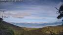 ./images/calvert/fitz-hugh-hecate/20250807/fitz-hugh-hecate20250807_171511M.jpg