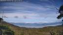./images/calvert/fitz-hugh-hecate/20250807/fitz-hugh-hecate20250807_172510M.jpg
