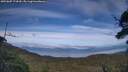 ./images/calvert/fitz-hugh-hecate/20250807/fitz-hugh-hecate20250807_174510M.jpg
