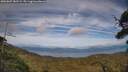 ./images/calvert/fitz-hugh-hecate/20250807/fitz-hugh-hecate20250807_181509M.jpg