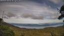 ./images/calvert/fitz-hugh-hecate/20250807/fitz-hugh-hecate20250807_183510M.jpg