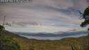 ./images/calvert/fitz-hugh-hecate/20250807/fitz-hugh-hecate20250807_184509M.jpg
