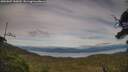 ./images/calvert/fitz-hugh-hecate/20250807/fitz-hugh-hecate20250807_185010M.jpg