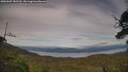 ./images/calvert/fitz-hugh-hecate/20250807/fitz-hugh-hecate20250807_185510M.jpg