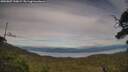 ./images/calvert/fitz-hugh-hecate/20250807/fitz-hugh-hecate20250807_190009M.jpg