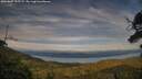 ./images/calvert/fitz-hugh-hecate/20250807/fitz-hugh-hecate20250807_195509M.jpg