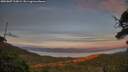 ./images/calvert/fitz-hugh-hecate/20250807/fitz-hugh-hecate20250807_210009M.jpg