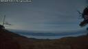 ./images/calvert/fitz-hugh-hecate/20250807/fitz-hugh-hecate20250807_214508M.jpg