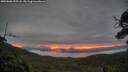 ./images/calvert/fitz-hugh-hecate/20250808/fitz-hugh-hecate20250808_055508M.jpg