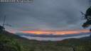 ./images/calvert/fitz-hugh-hecate/20250808/fitz-hugh-hecate20250808_061010M.jpg