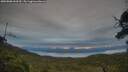 ./images/calvert/fitz-hugh-hecate/20250808/fitz-hugh-hecate20250808_063510M.jpg