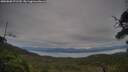 ./images/calvert/fitz-hugh-hecate/20250808/fitz-hugh-hecate20250808_071510M.jpg