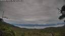 ./images/calvert/fitz-hugh-hecate/20250808/fitz-hugh-hecate20250808_072011M.jpg