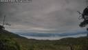./images/calvert/fitz-hugh-hecate/20250808/fitz-hugh-hecate20250808_074010M.jpg