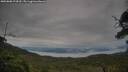 ./images/calvert/fitz-hugh-hecate/20250808/fitz-hugh-hecate20250808_074510M.jpg