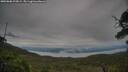 ./images/calvert/fitz-hugh-hecate/20250808/fitz-hugh-hecate20250808_075009M.jpg
