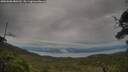 ./images/calvert/fitz-hugh-hecate/20250808/fitz-hugh-hecate20250808_080510M.jpg