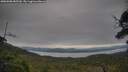./images/calvert/fitz-hugh-hecate/20250808/fitz-hugh-hecate20250808_085510M.jpg